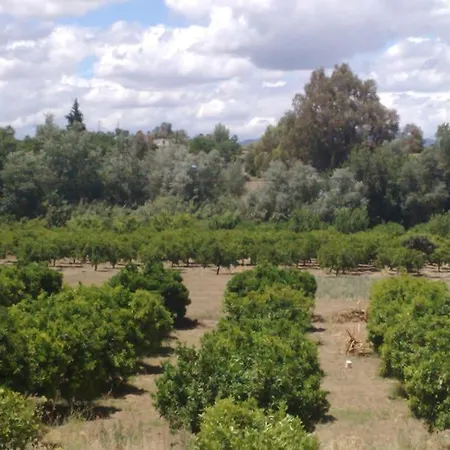 Vega Fahala Organic Orchard & Vacation Holiday home Alhaurin el Grande