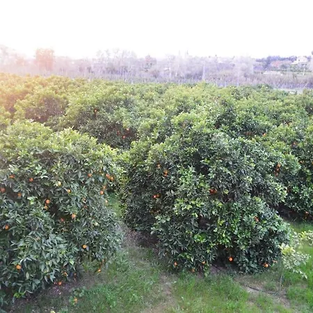 Vega Fahala Organic Orchard & Vacation * Alhaurin el Grande