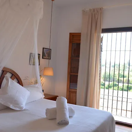 Vega Fahala Organic Orchard & Vacation Holiday home *